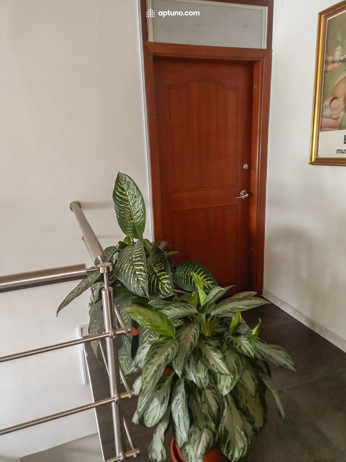 Apartamento en arriendo San Felipe Apartamento en arriendo San Felipe 22 m² - $ 850.000