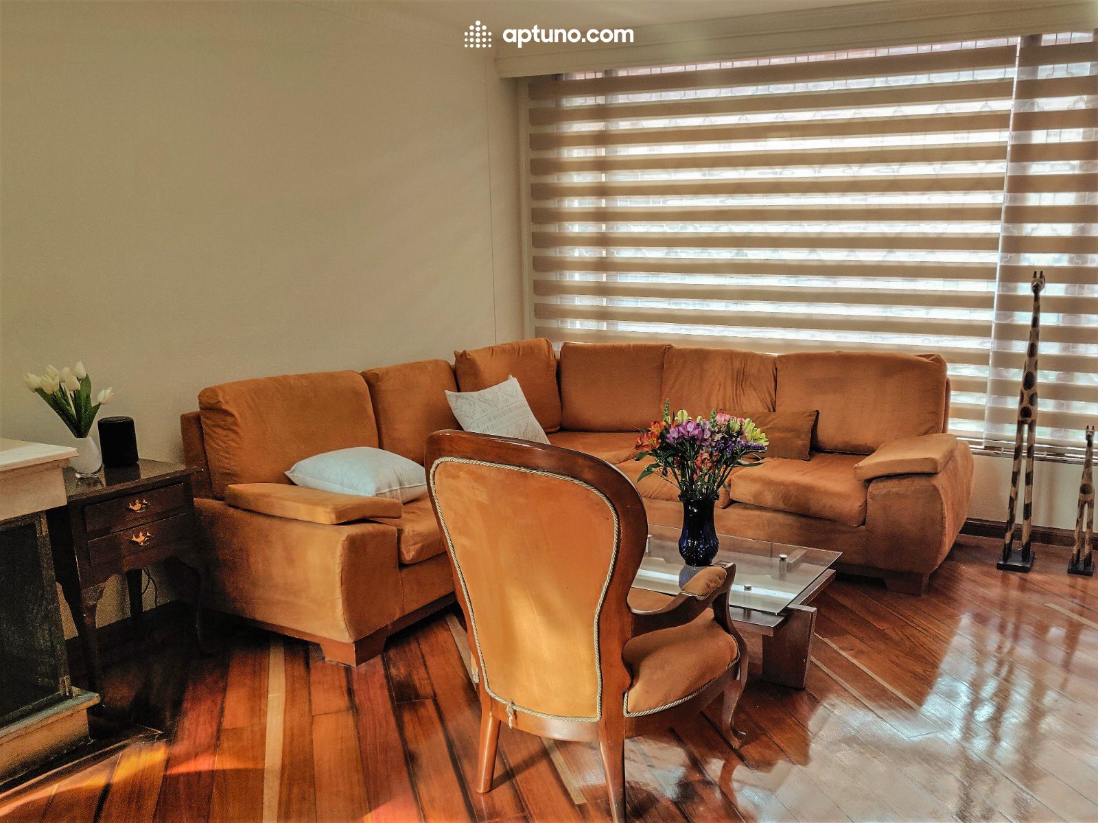 Casa en arriendo Los Cedros Casa en arriendo Los Cedros 125 m² - $ 2.900.000