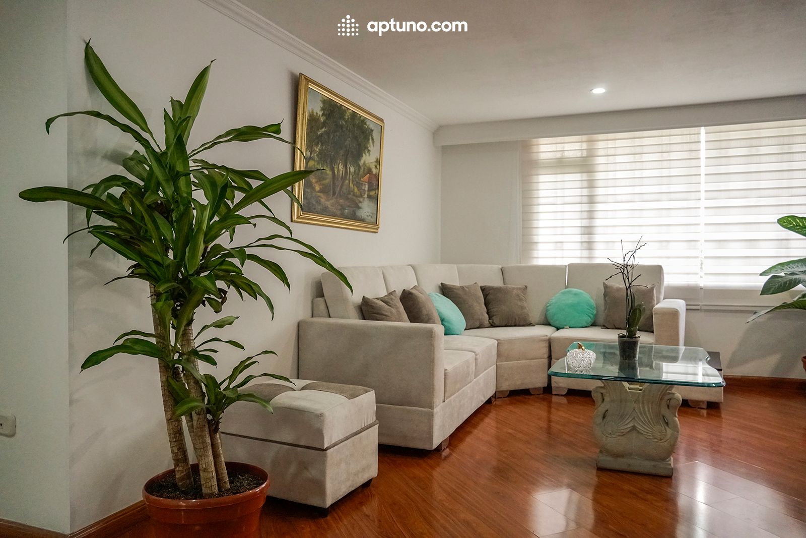 Apartamento en arriendo Chicó Norte II Sector Apartamento en arriendo Chicó Norte II Sector 116 m² - $ 3.900.000