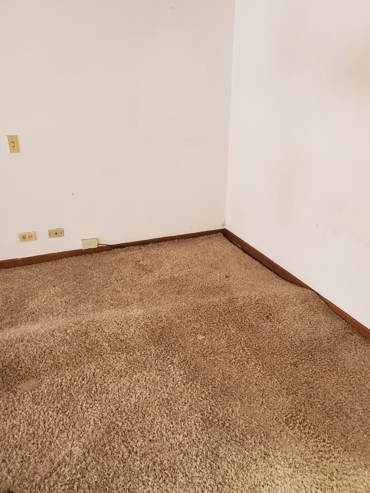 Apartamento en arriendo Santa Ana Occidental Apartamento en arriendo Santa Ana Occidental 54 m² - $ 2.000.000