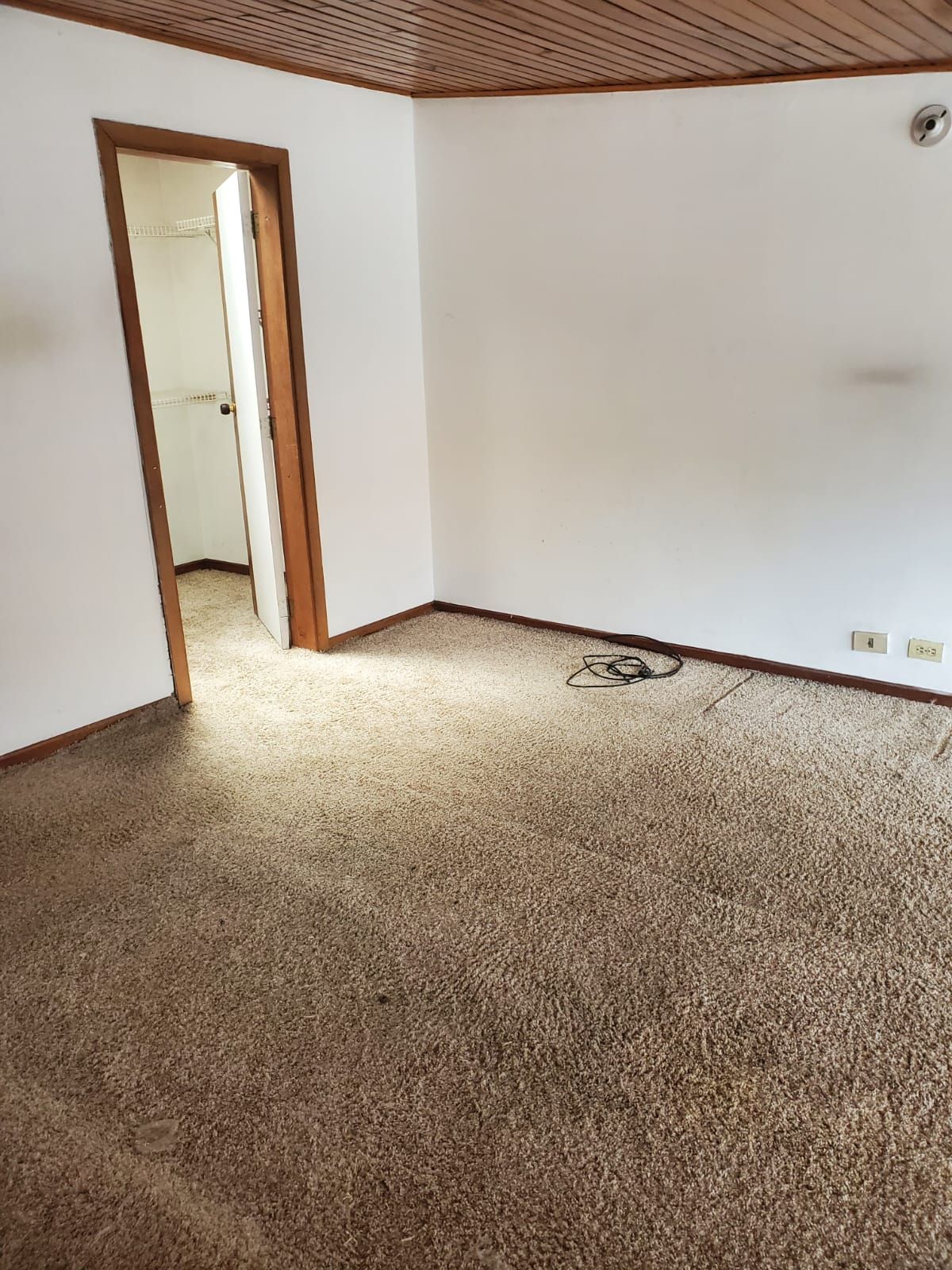 Apartamento en arriendo Santa Ana Occidental Apartamento en arriendo Santa Ana Occidental 54 m² - $ 2.000.000