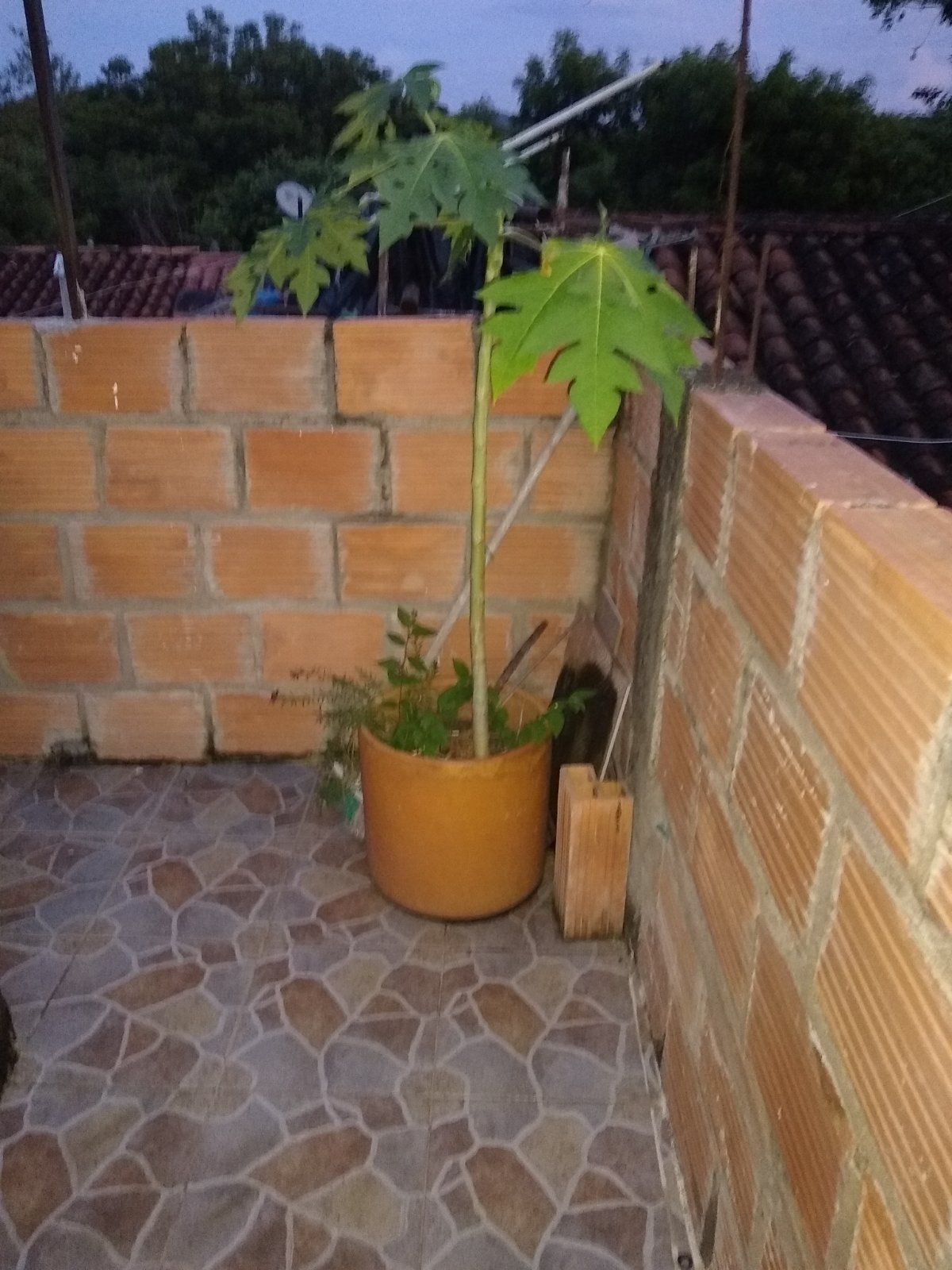Casa en arriendo Ricaurte Casa en arriendo Ricaurte 80 m² - $ 500.000