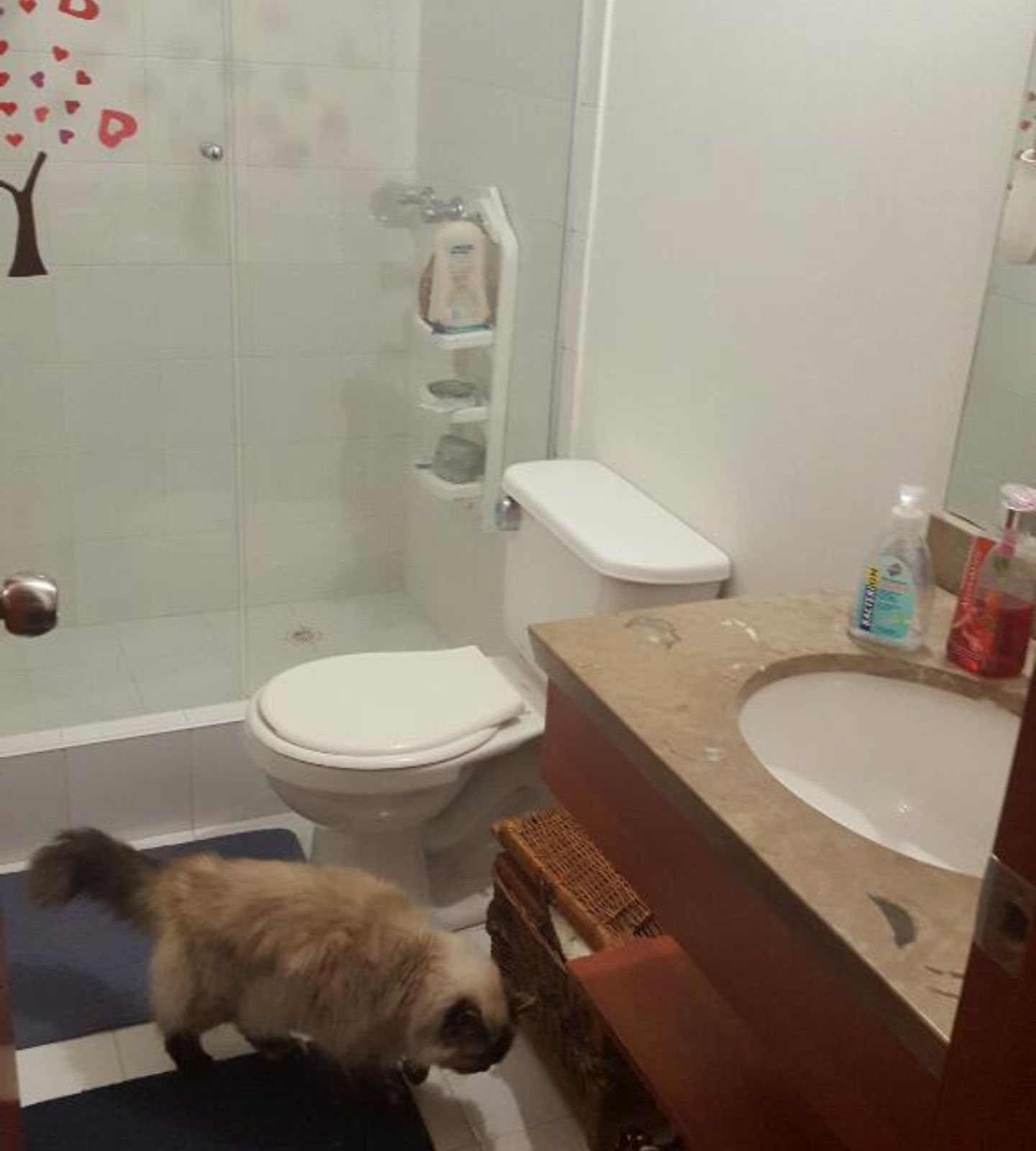 Apartamento en arriendo Chapinero Central Apartamento en arriendo Chapinero Central 44 m² - $ 1.410.000