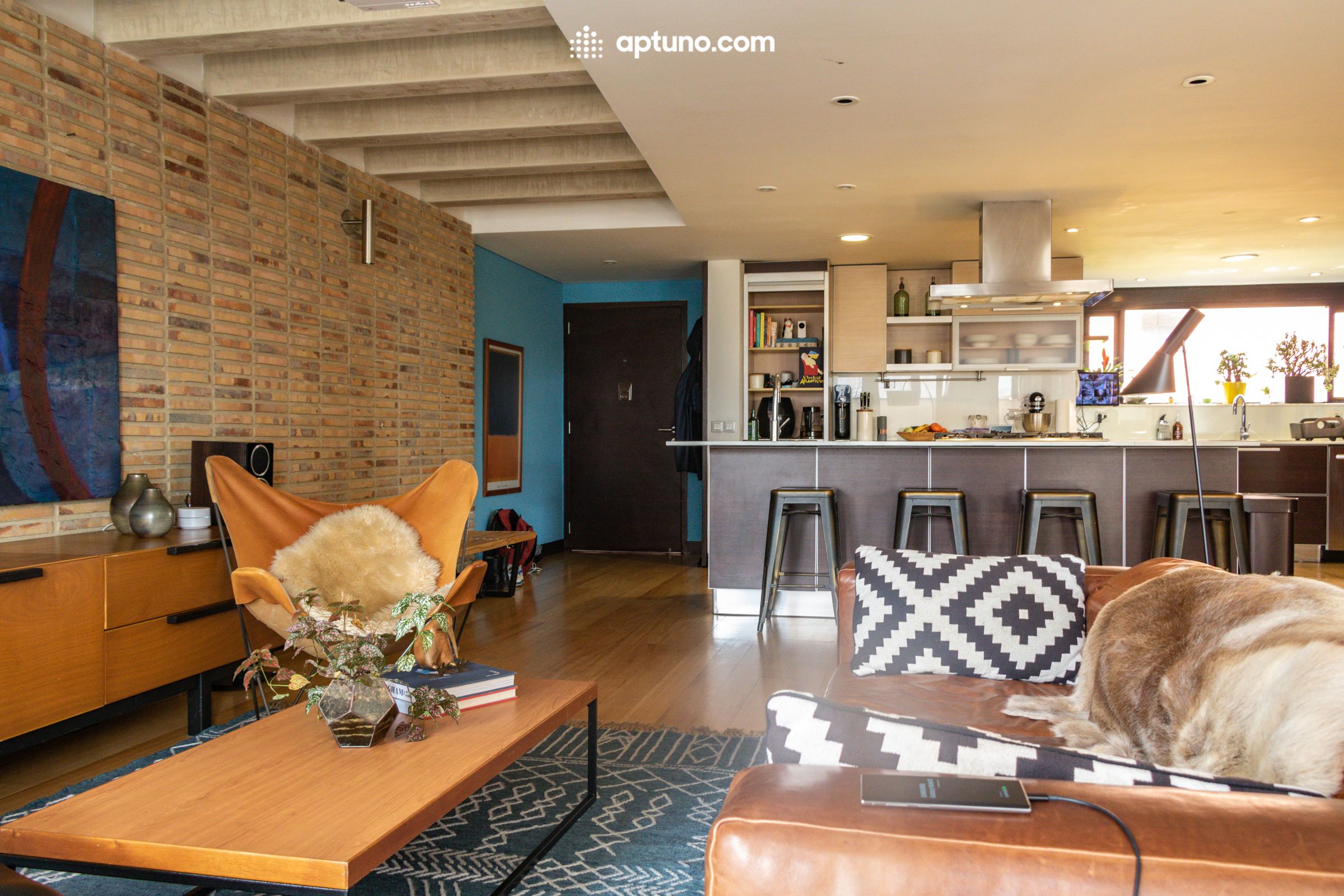 Apartamento en arriendo Bellavista 175 m² - $ 6.900.000