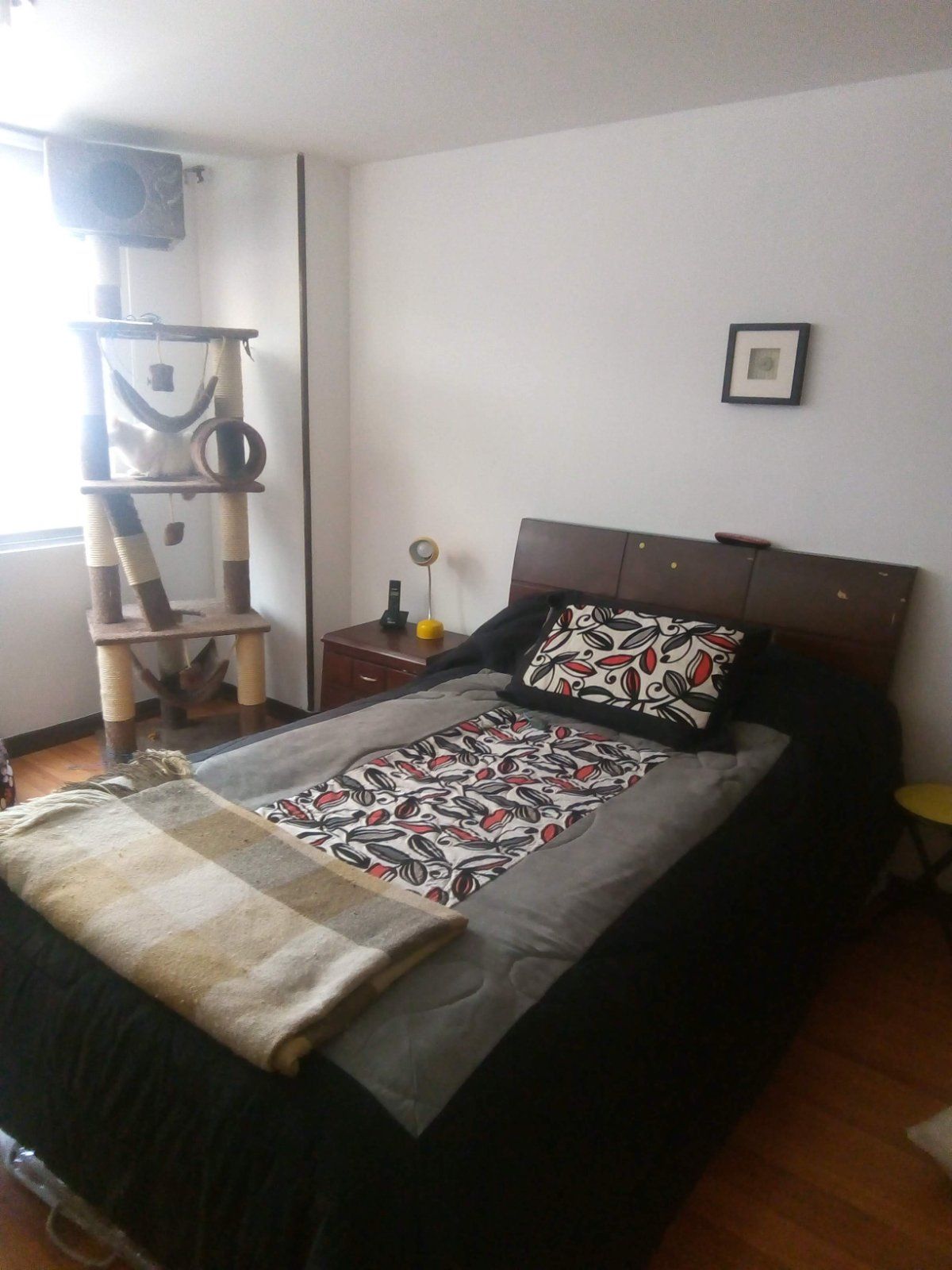 Apartamento en arriendo Pasadena Apartamento en arriendo Pasadena 41 m² - $ 1.640.000