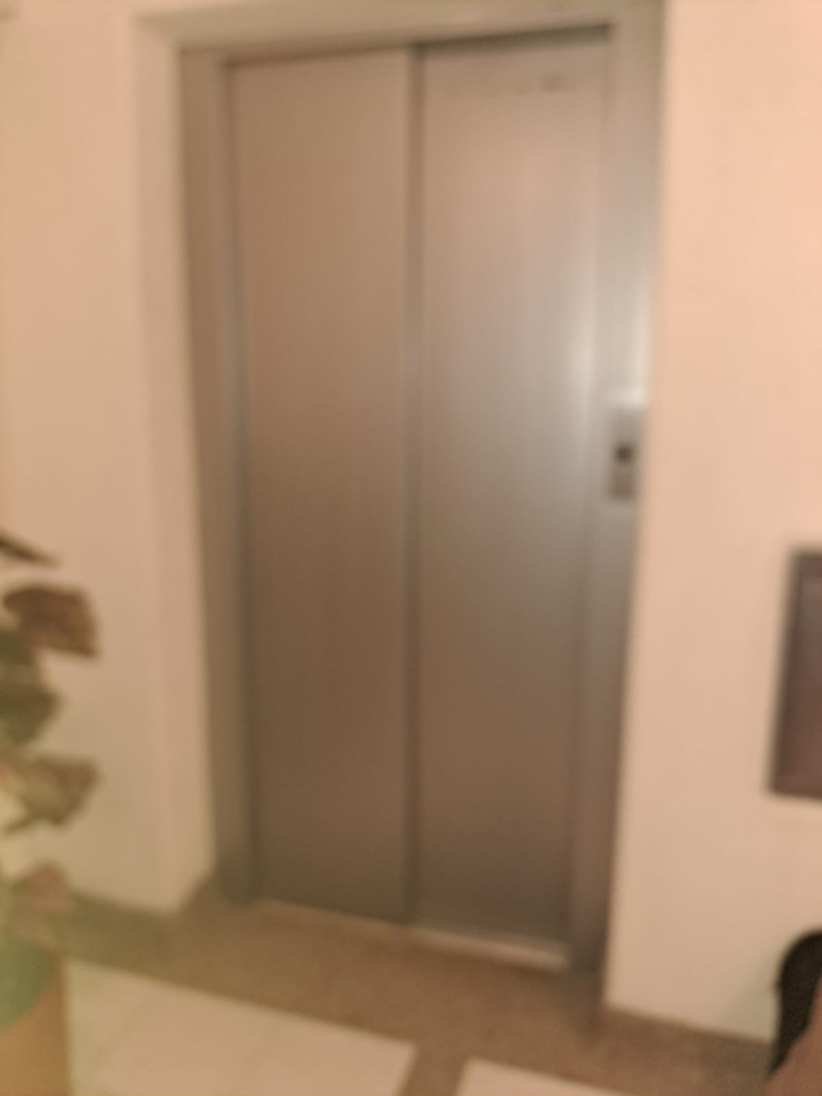Apartamento en arriendo Alcázares Norte Apartamento en arriendo Alcázares Norte 0 m² - $ 2.500.000